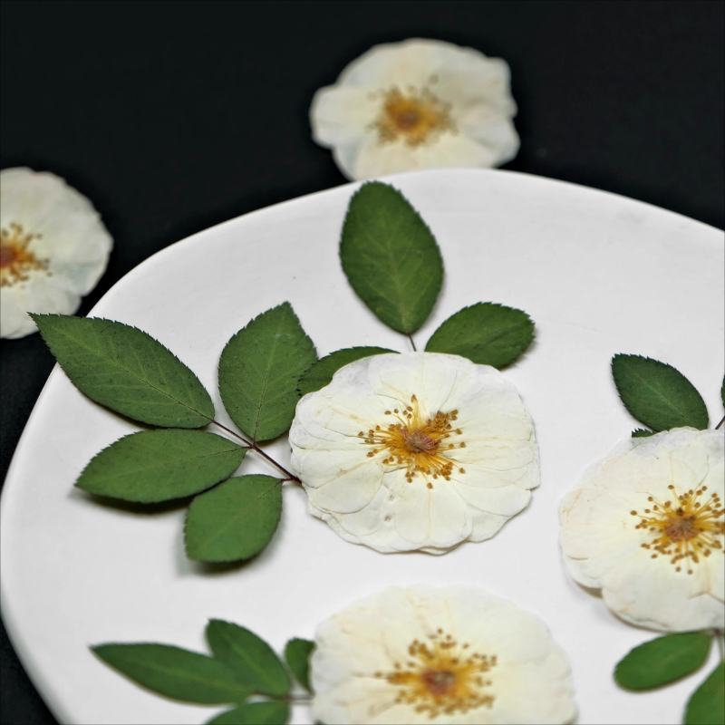 6pcs,9pcs,Nature White Rose Pr - Dried Flower Bulk recension och pris