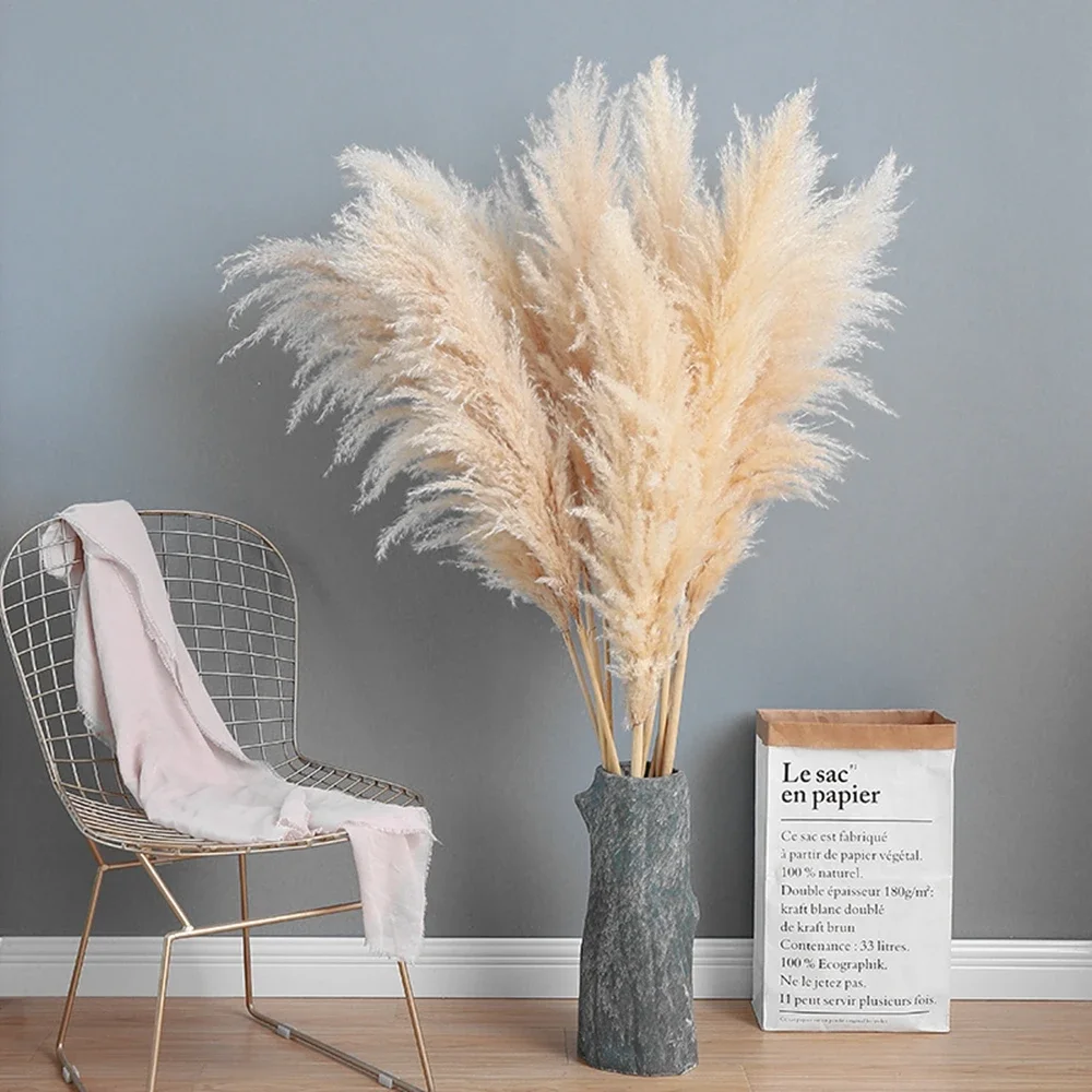 120cm - 130cm Fluffy Large Pam - Dried Flower Bulk recension och pris